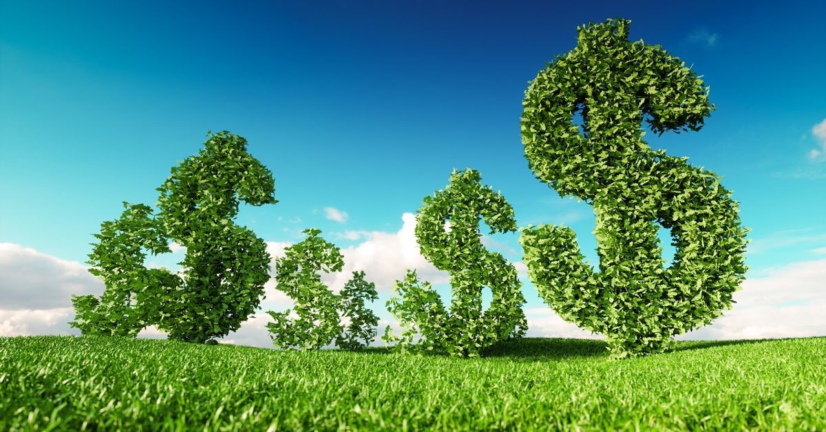 eco friendly_opt.jpg