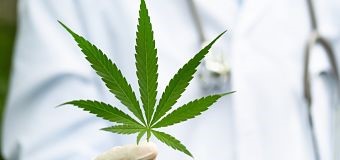 Cannabis Medicine Opt (1)