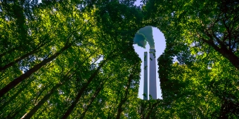 Greenwashing (1)
