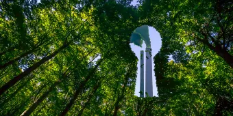 Greenwashing (1)