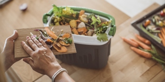Food Compost (1)