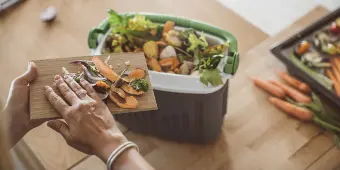 Food Compost (1)