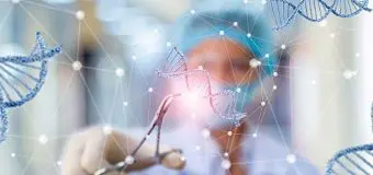 DNA Opt (1)
